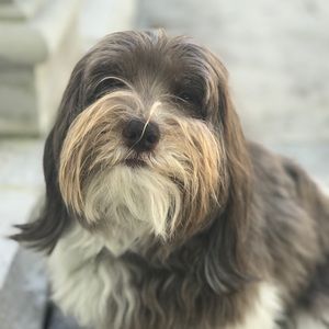 Meet your Posher, Elise